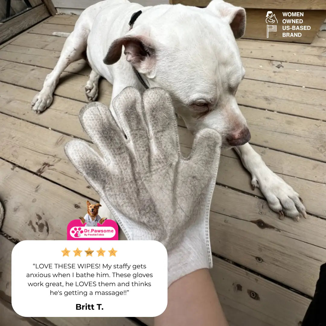 Dr. Pawsome Clean & Deodorizing Glove Wipe - Hypoallergenic Natural Pet-Safe Vet Approved for Dogs & Cats