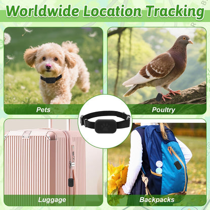 Cat Tracker Collar for Pet, Real Time Dog GPS Tracker No Monthly Fee, No SIM Required, Compatible with Ios/Android, Global Tracking Device for All Cats Dogs and All Collars (C)