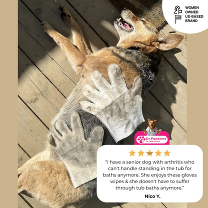 Dr. Pawsome Clean & Deodorizing Glove Wipe - Hypoallergenic Natural Pet-Safe Vet Approved for Dogs & Cats