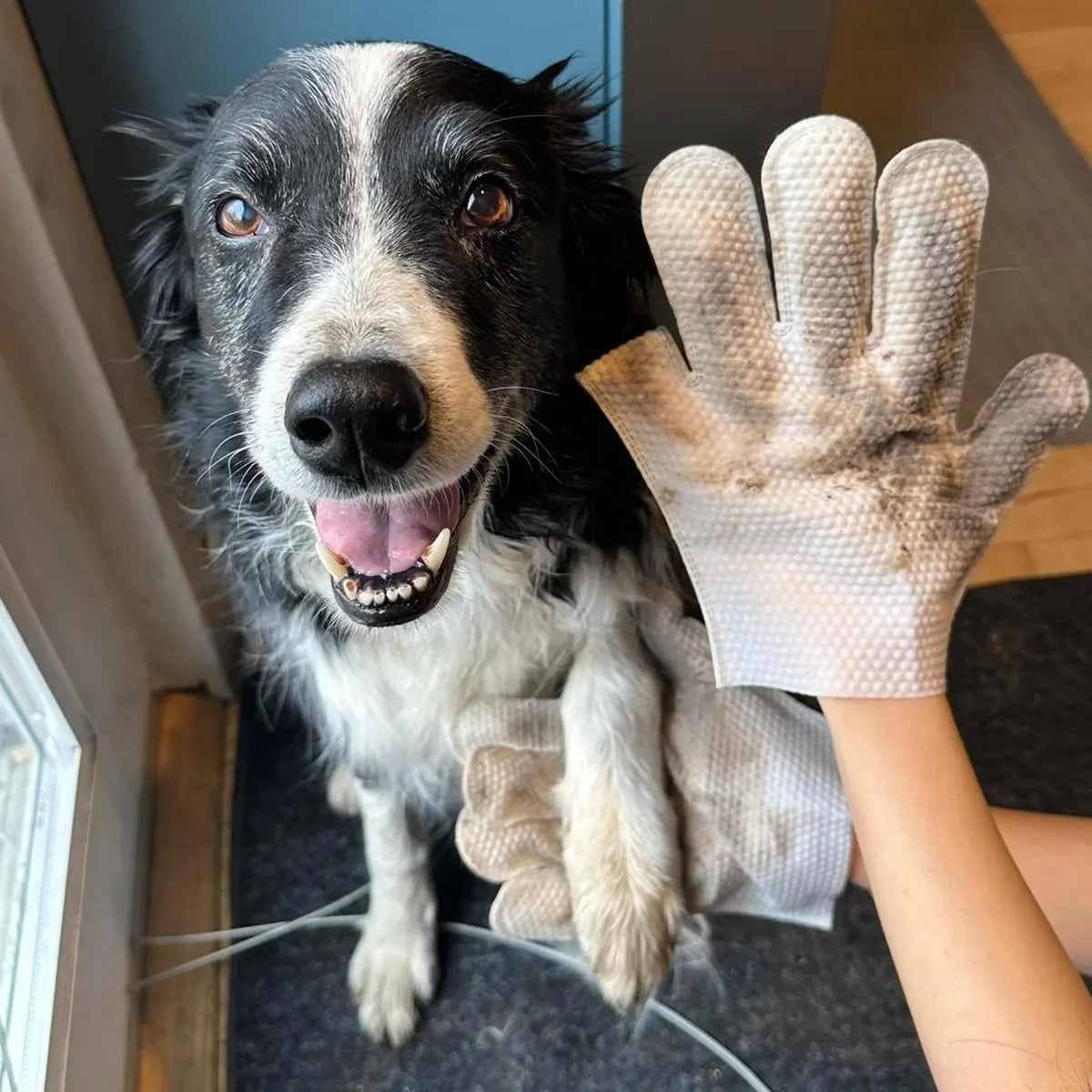 Dr. Pawsome Clean & Deodorizing Glove Wipe - Hypoallergenic Natural Pet-Safe Vet Approved for Dogs & Cats